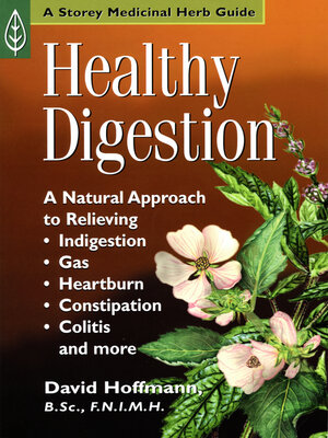 cover image of Healthy Digestion